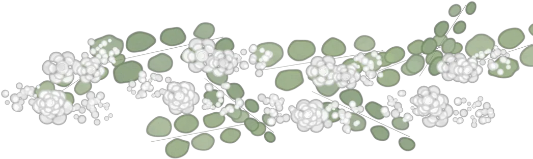 Blanc et vert dessiné à l’aquarelle : rose de plein champ, lisianthus, gypsophile, eucalyptus