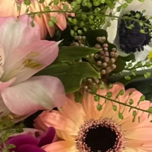 Alstroemère rose pâle en gros plan dans un bouquet, à côté d'un gerbera saumon et d'une anémone