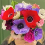 Bouquet d'anémones serrées, rouges, bleu-violet, blanches et roses, toutes à cœur noir