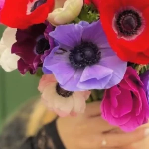 Anémone bleu-violet vue de face, son cœur noir entouré d'une couronne d'étamines bien visible