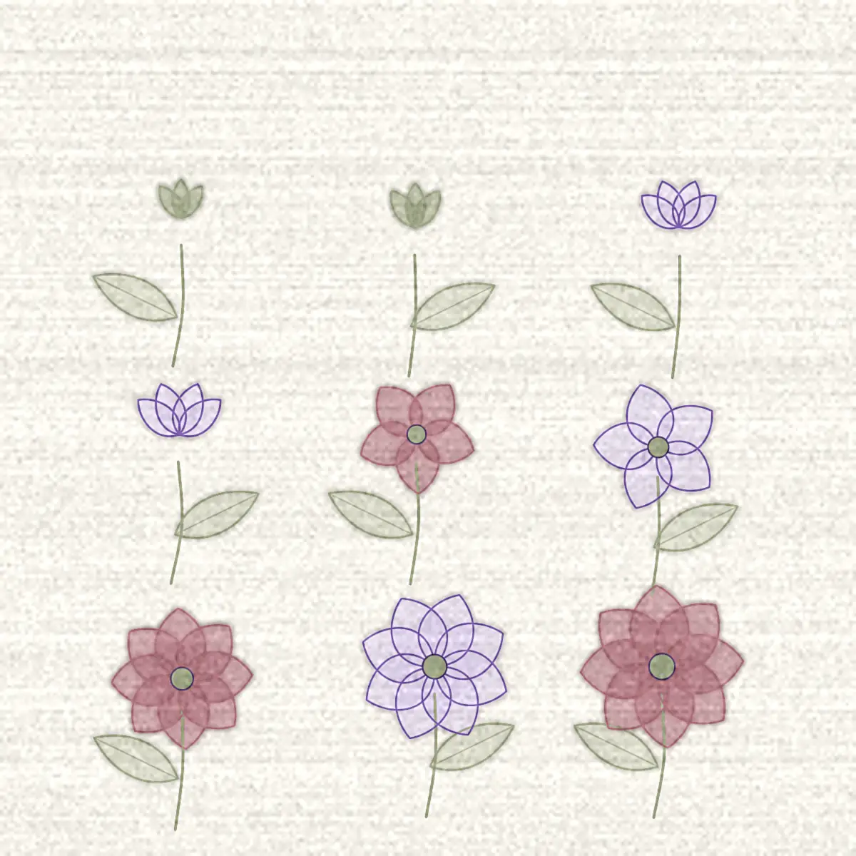 Dessin de neuf fleurs au fil de leur ouverture, du bouton fermé à la fleur pleine