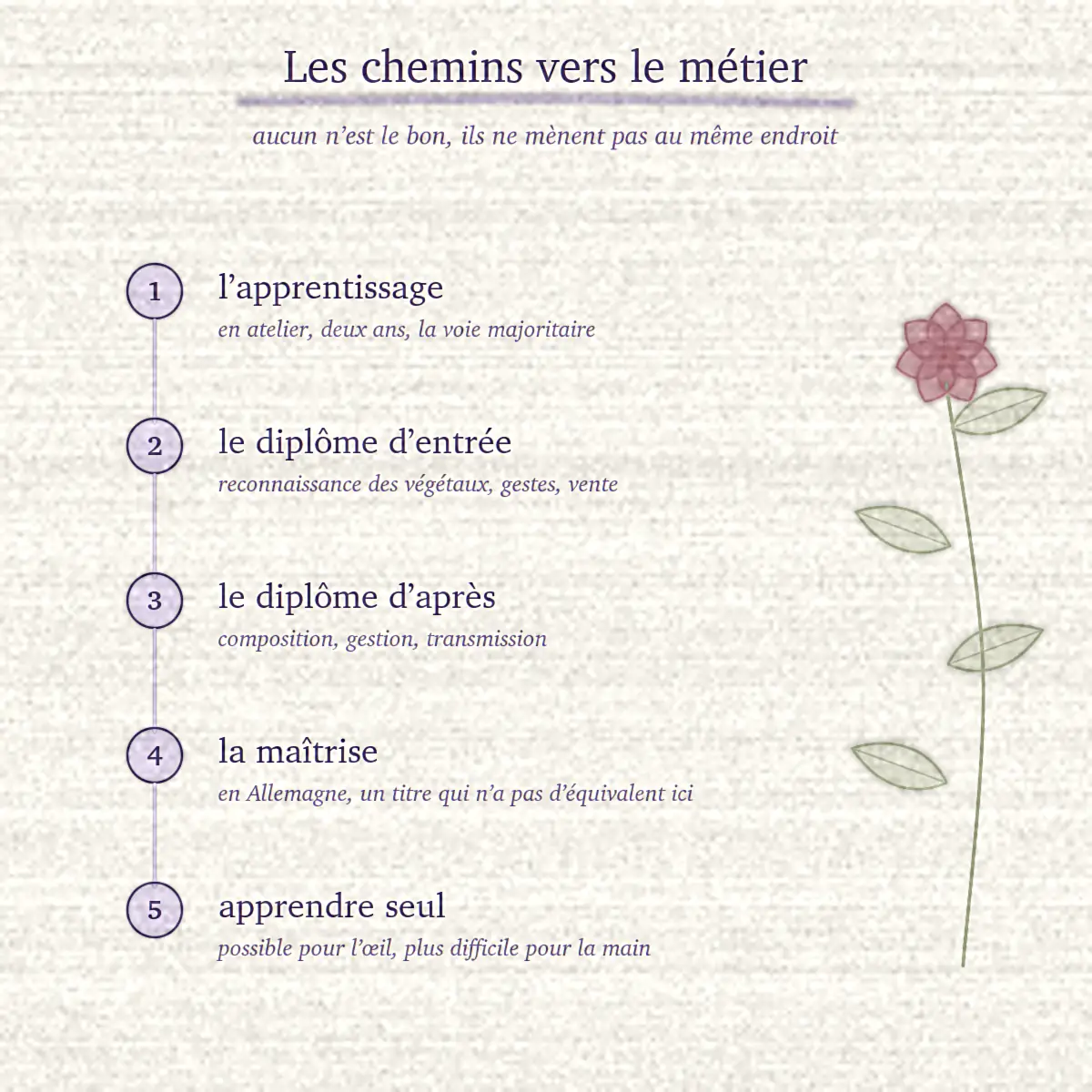 Cinq chemins vers le métier numérotés, le long d’une tige fleurie dessinée