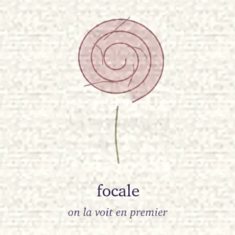 Dessin d’une fleur focale, large corolle en spirale sur sa tige