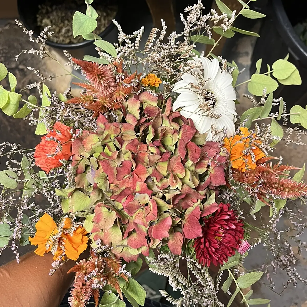 Bouquet de fleurs séchées tenu à la main, une tête d'hortensia rose et verte au centre, entourée de célosies, statice, œillet d'Inde et eucalyptus