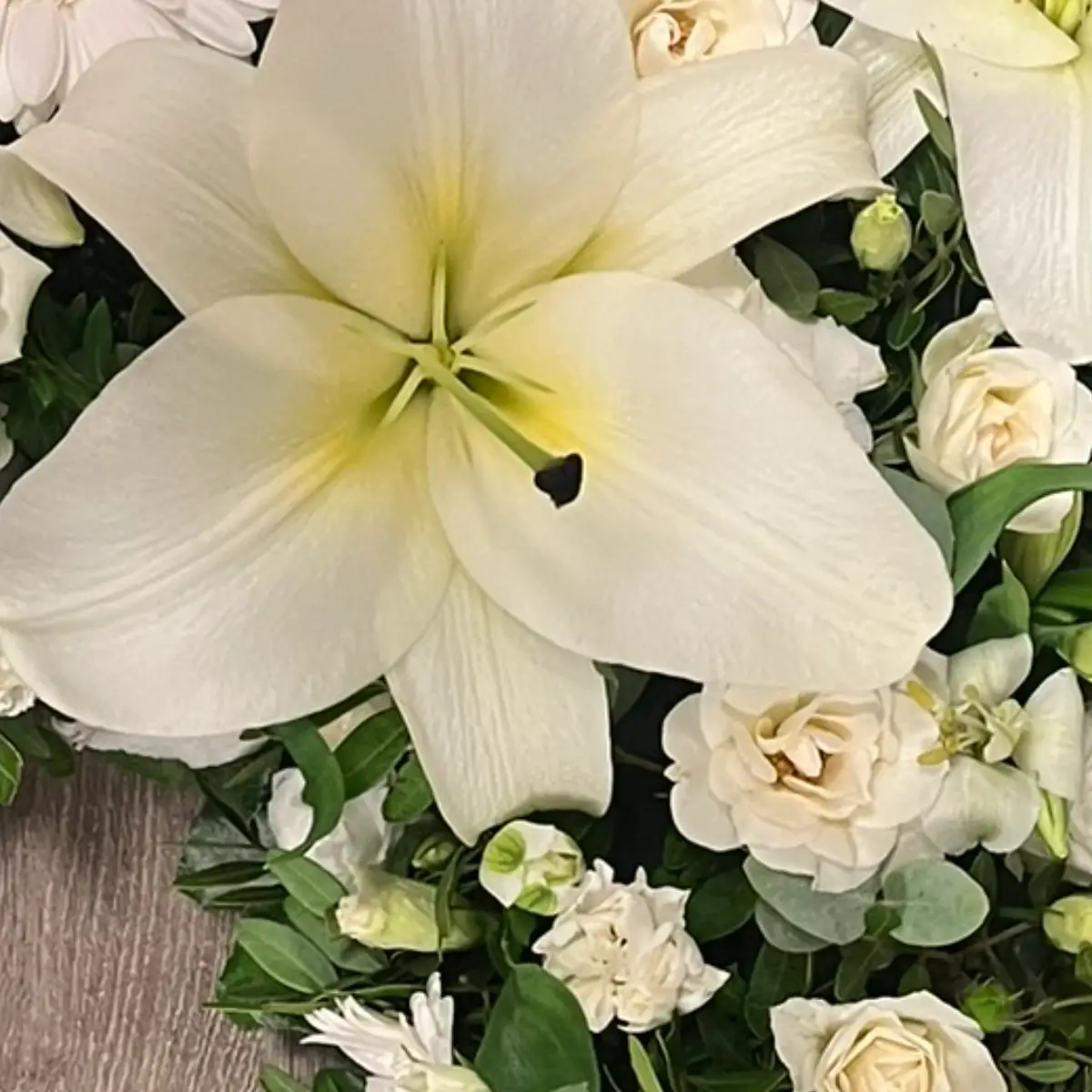 Lys blanc grand ouvert vu de face, ses six tépales étalés et ses étamines dressées, entouré de roses branchues blanches