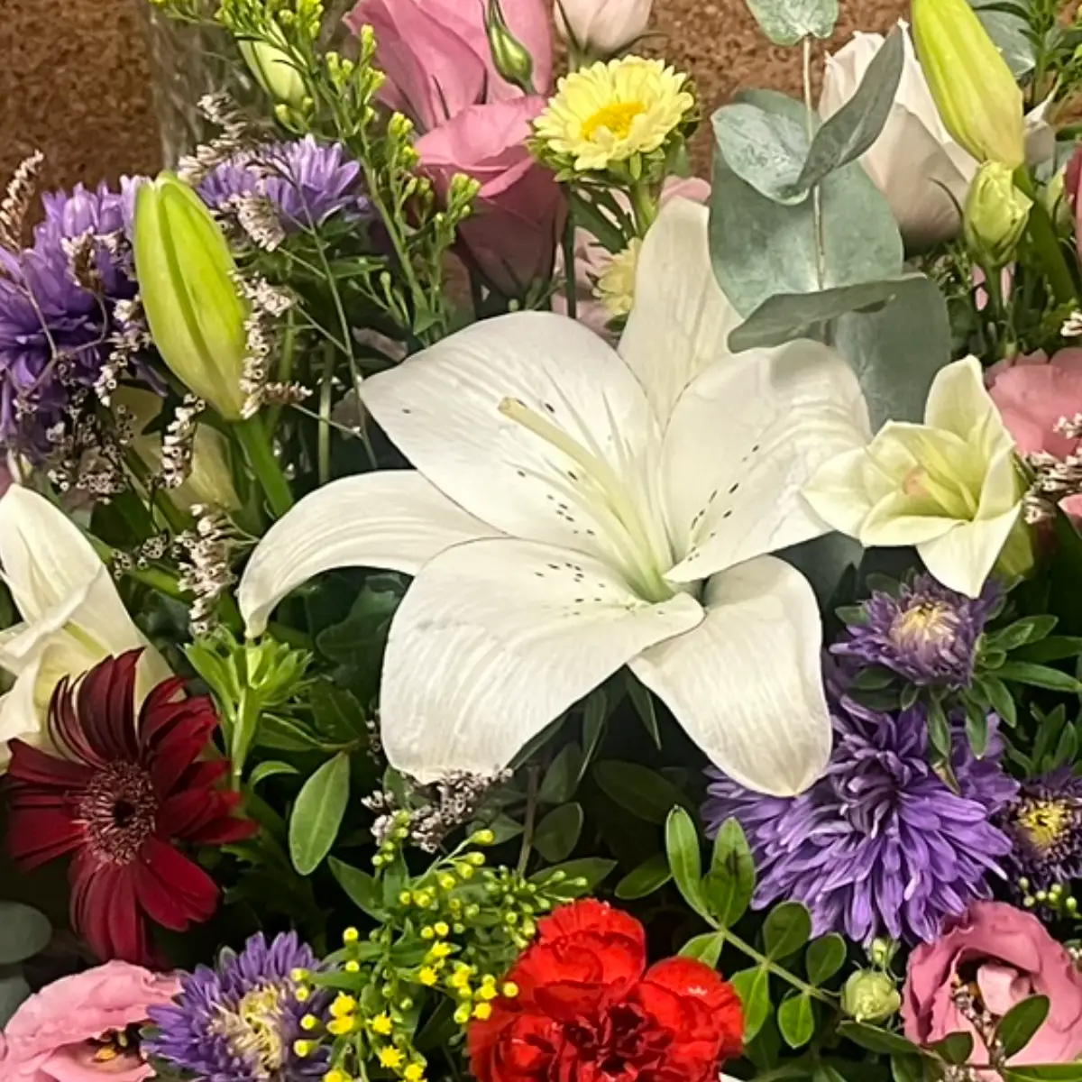 Gros plan sur une fleur de lys blanche ouverte, ses six étamines bien visibles au centre, avec un bouton encore fermé juste à côté