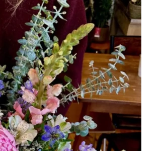 Fleurs de muflier saumon largement ouvertes le long de la hampe, montrant la corolle en gueule fermée
