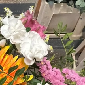 Œillet blanc aux pétales frangés vu de près, sur fond de fleurs roses en grappes