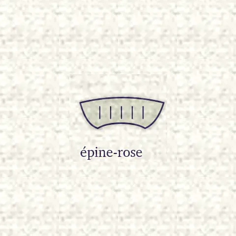 Dessin d’une épine-rose, la pince qui ôte les épines d’une tige