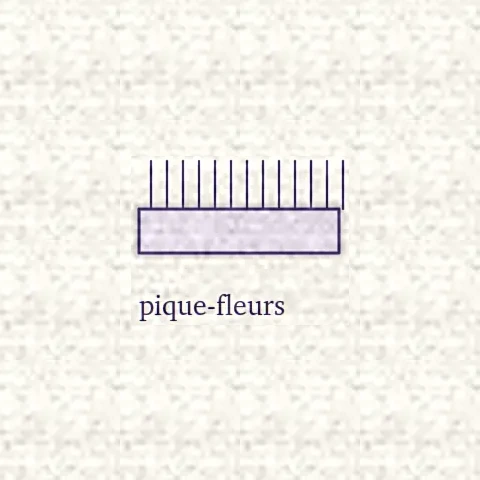 Dessin d’un pique-fleurs, plaque hérissée d’aiguilles