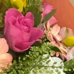 Rose fuchsia épanouie vue du dessus, ses pétales enroulés en spirale autour du cœur