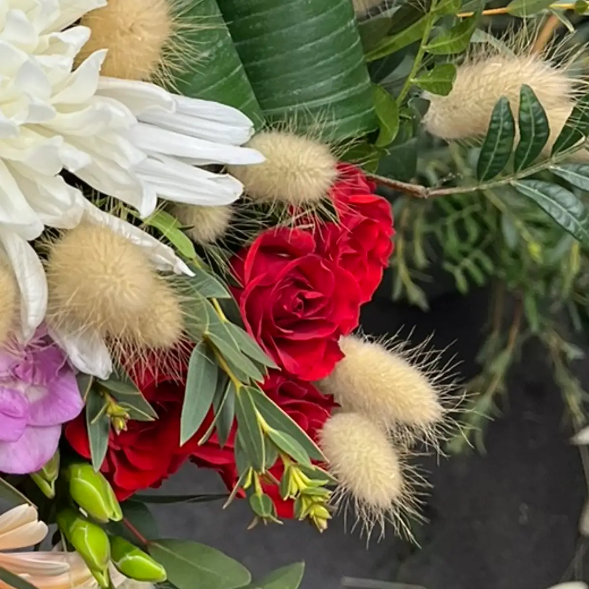 Deux roses rouges sur la même composition, l'une ouverte et l'autre encore en bouton, parmi des queues-de-lièvre séchées