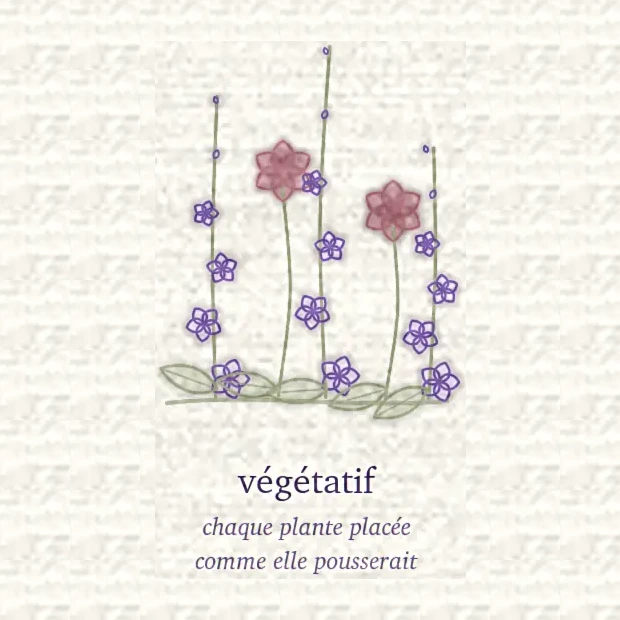 Dessin d’une composition végétative, chaque plante posée comme elle pousserait