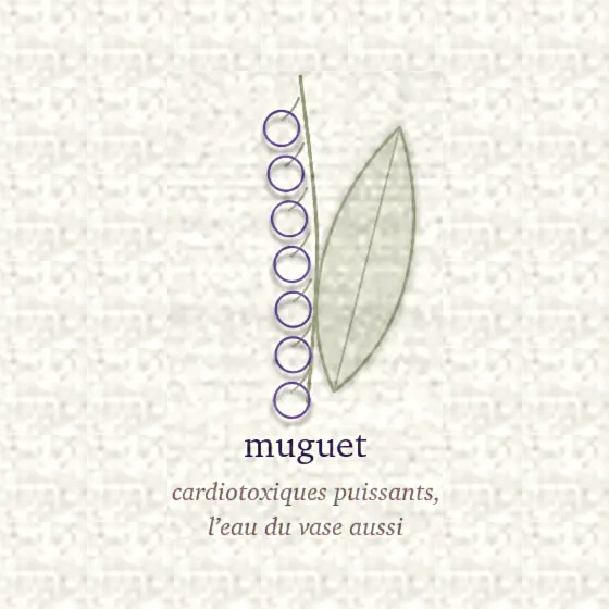 Dessin d’un brin de muguet, clochettes alignées le long de la tige