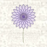 Petit dessin d’un capitule, disque de fleurons serrés