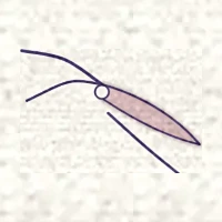 Petit dessin d’un sécateur ouvert