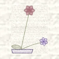 Petit dessin d’une composition linéaire, deux tiges dans une coupe basse