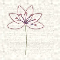 Petit dessin d’un lys ouvert aux étamines saillantes