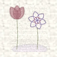 Petit dessin d’une tulipe et d’un narcisse sur leurs bulbes